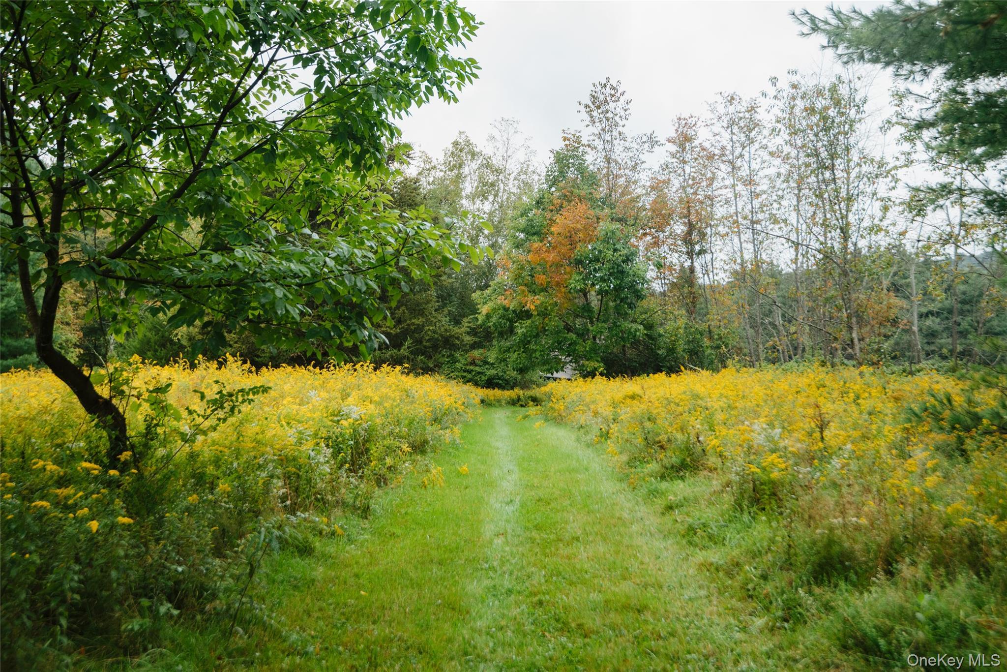 Single Family Baker Road  Ulster County, NY 12446, MLS-1031675-34