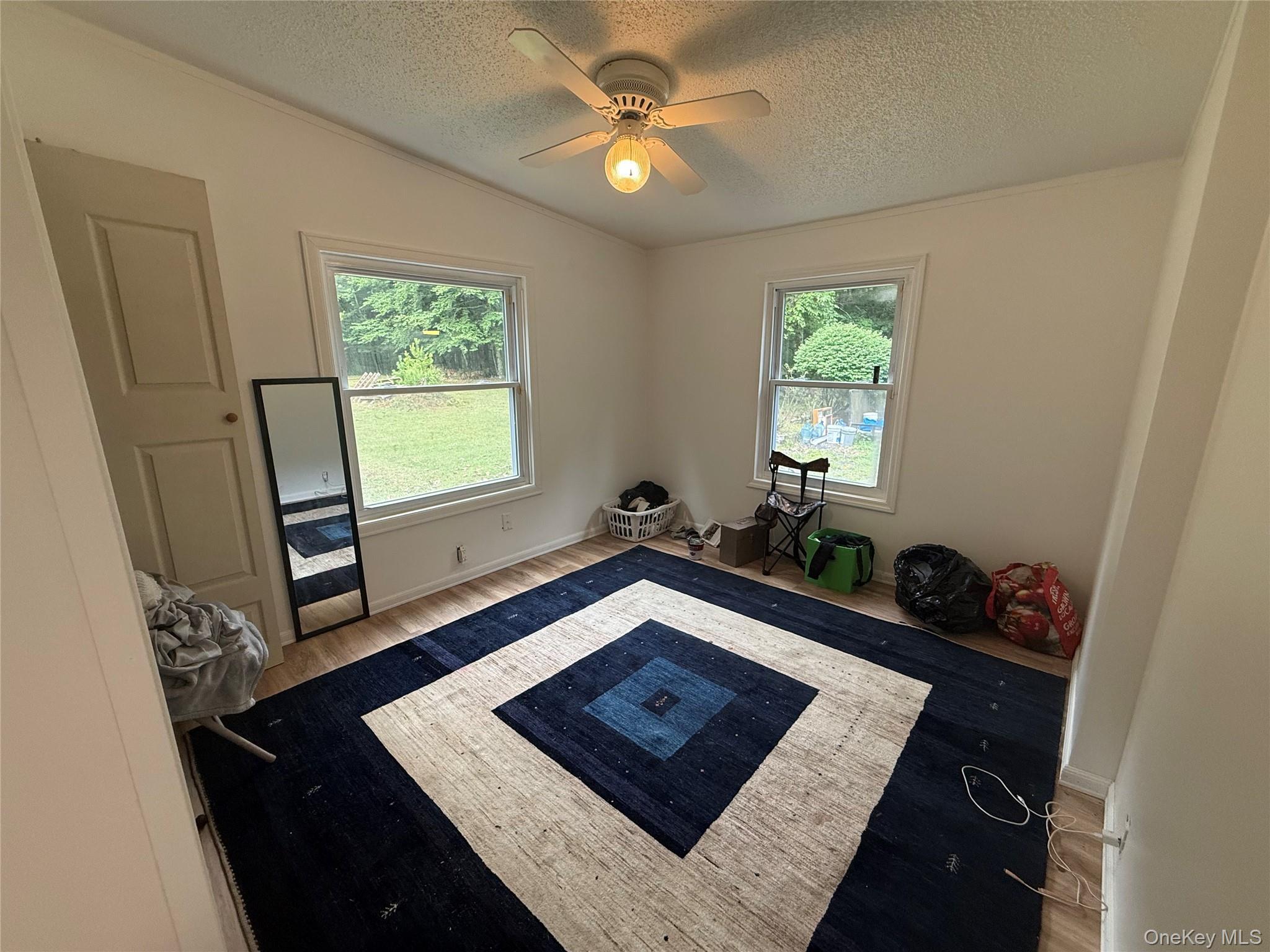 Single Family W Peenpack Trail Orange County, NY 12780, MLS-1031680-12