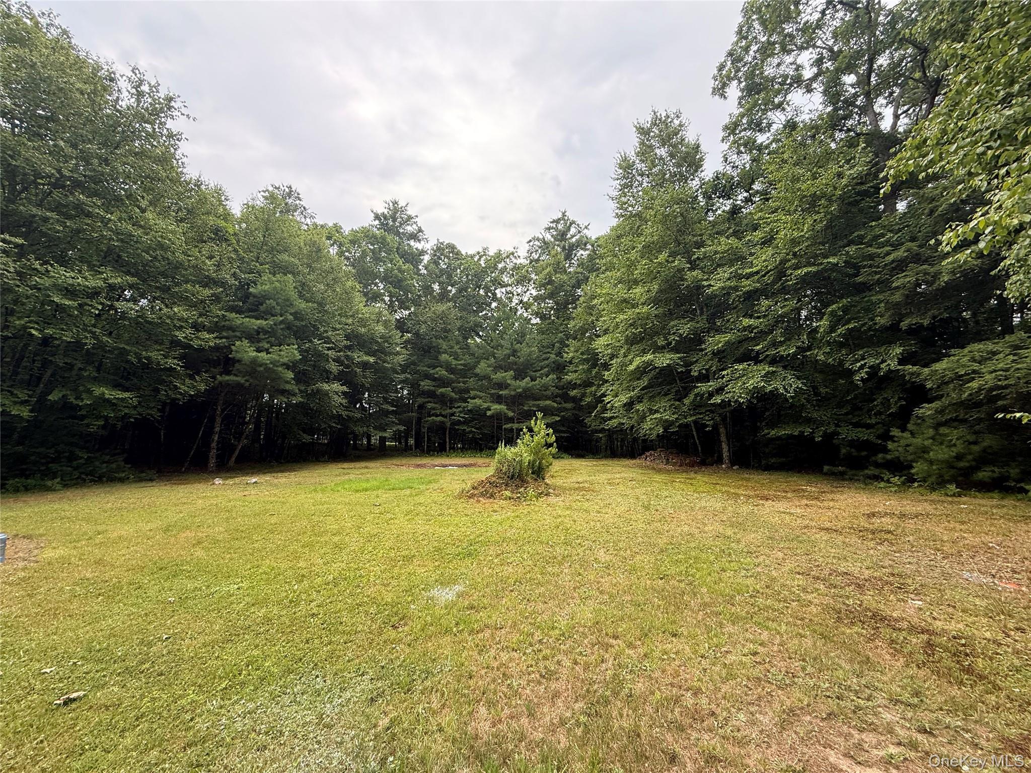 Single Family W Peenpack Trail Orange County, NY 12780, MLS-1031680-5