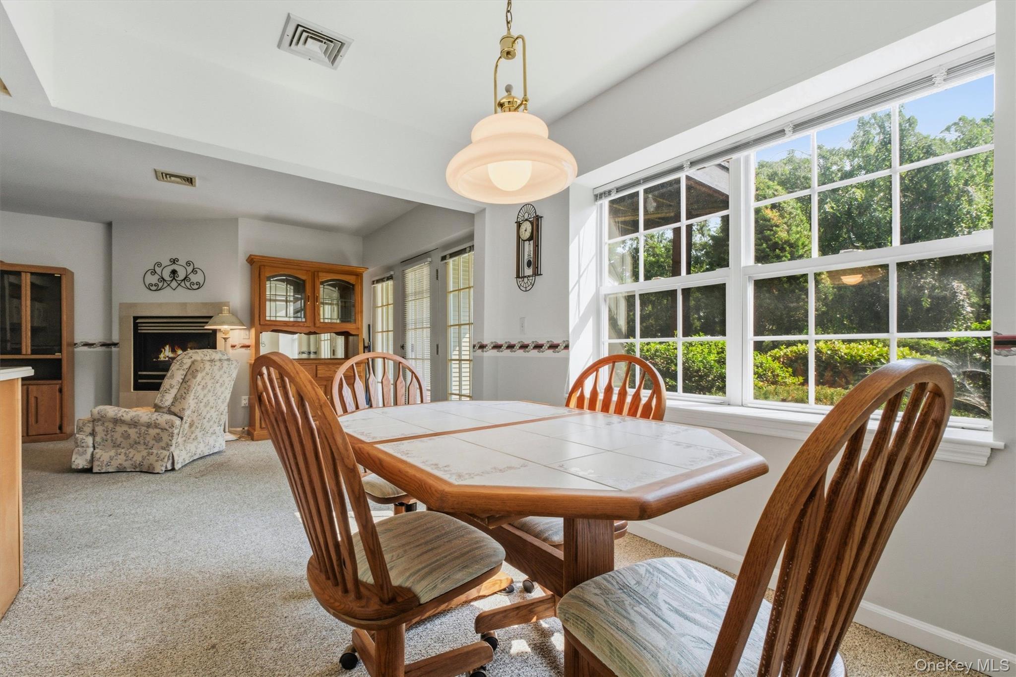 Single Family Washington Green  Orange County, NY 12553, MLS-1031728-12
