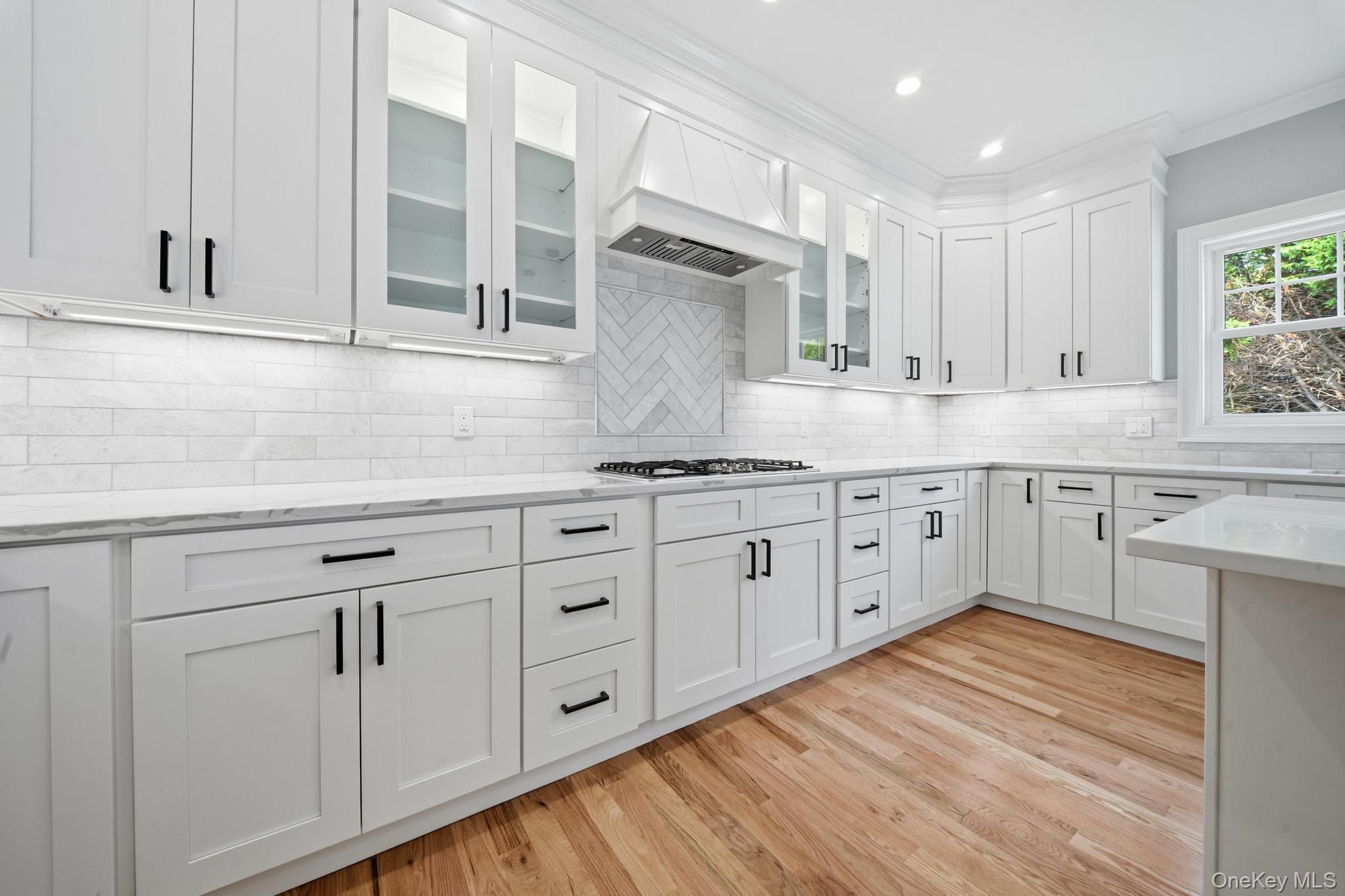 Single Family Maeder Avenue  Nassau County, NY 11566, MLS-1031730-19