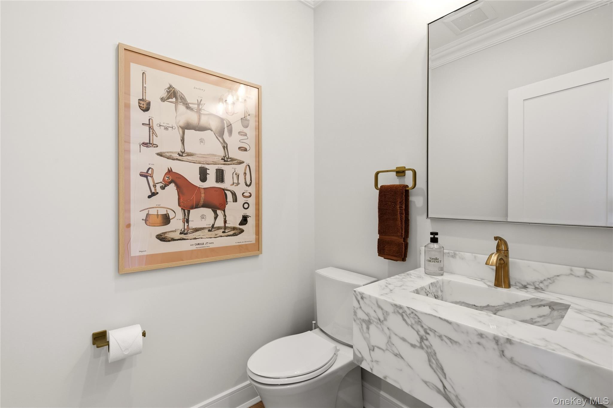 Single Family Cove Road  Suffolk County, NY 11768, MLS-1031732-21