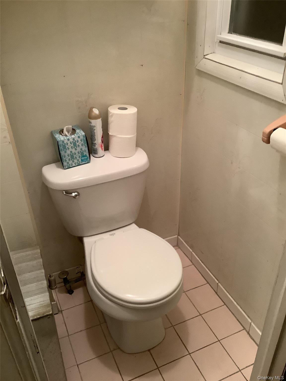 Single Family 75th Street Queens, NY 11385, MLS-1031741-9
