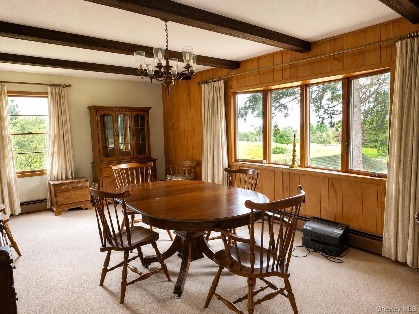 Single Family Shandelee Lake Road Sullivan County, NY 12758, MLS-1031779-4