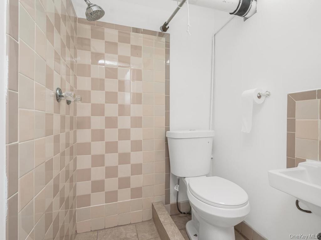Single Family Fox Street Bronx, NY 10459, MLS-1031785-14