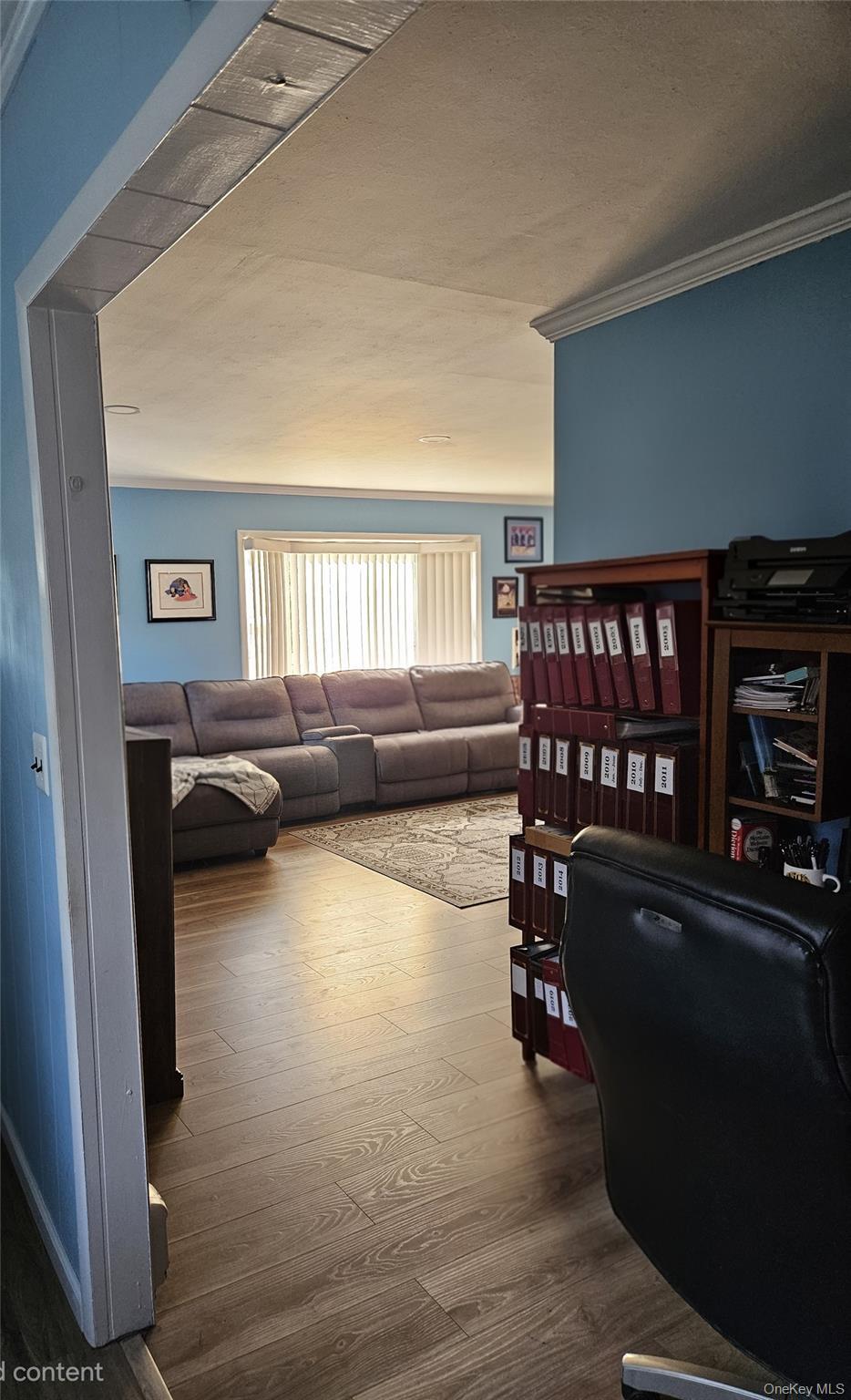 Single Family Catherine Street Nassau County, NY 11581, MLS-1031795-16