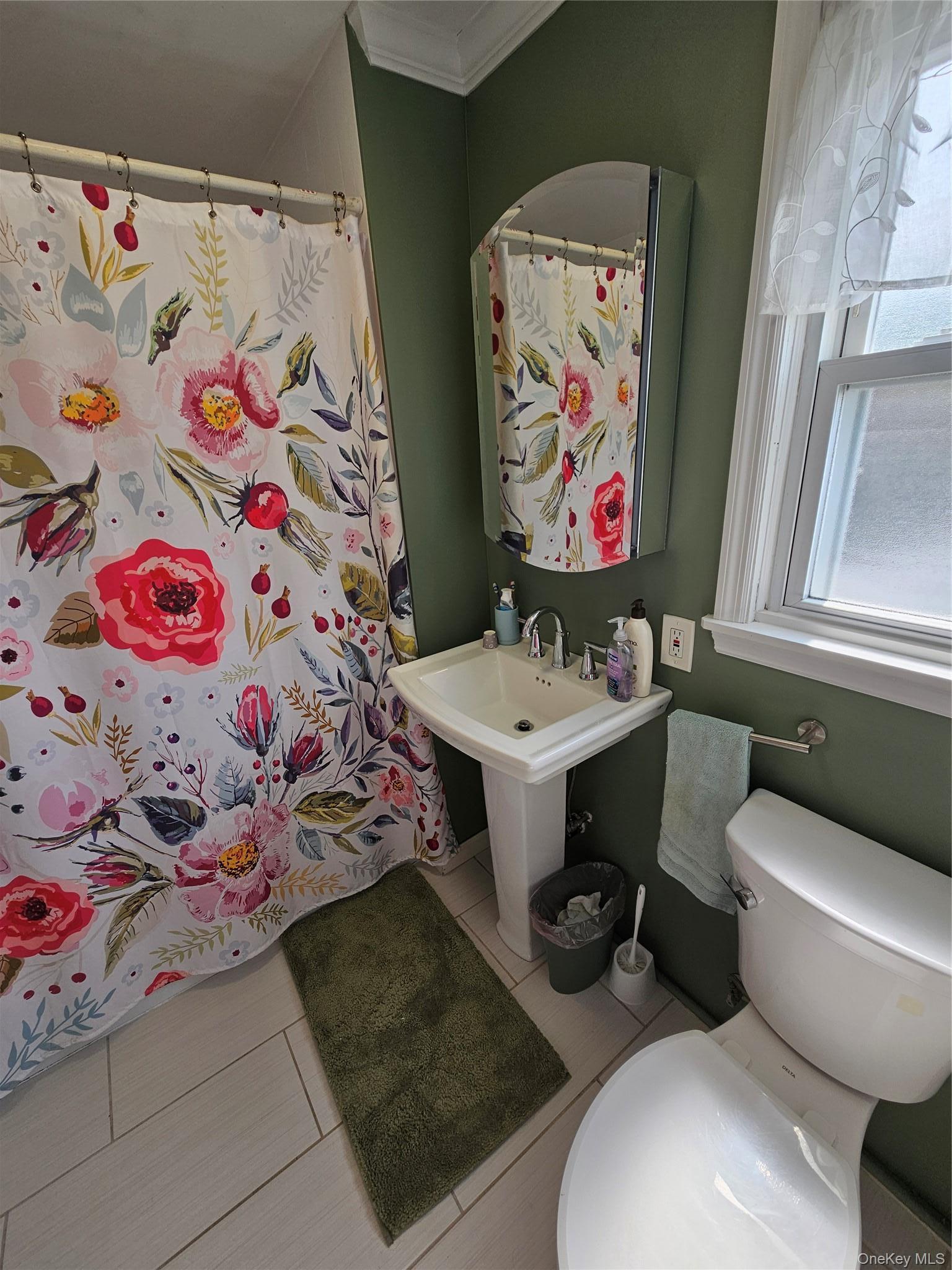 Single Family Catherine Street Nassau County, NY 11581, MLS-1031795-25