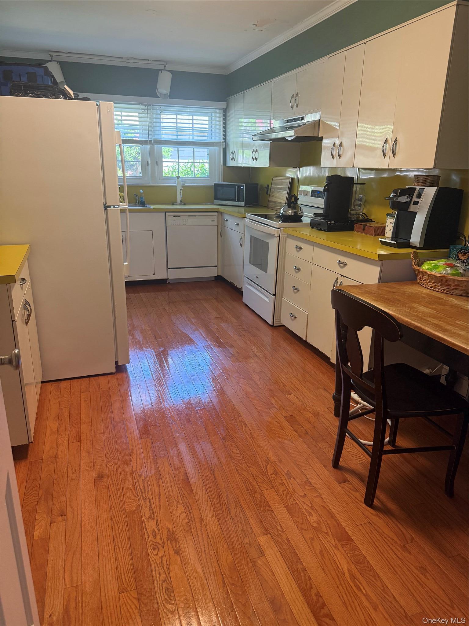 Single Family N Ocean Avenue Suffolk County, NY 11772, MLS-1031847-7