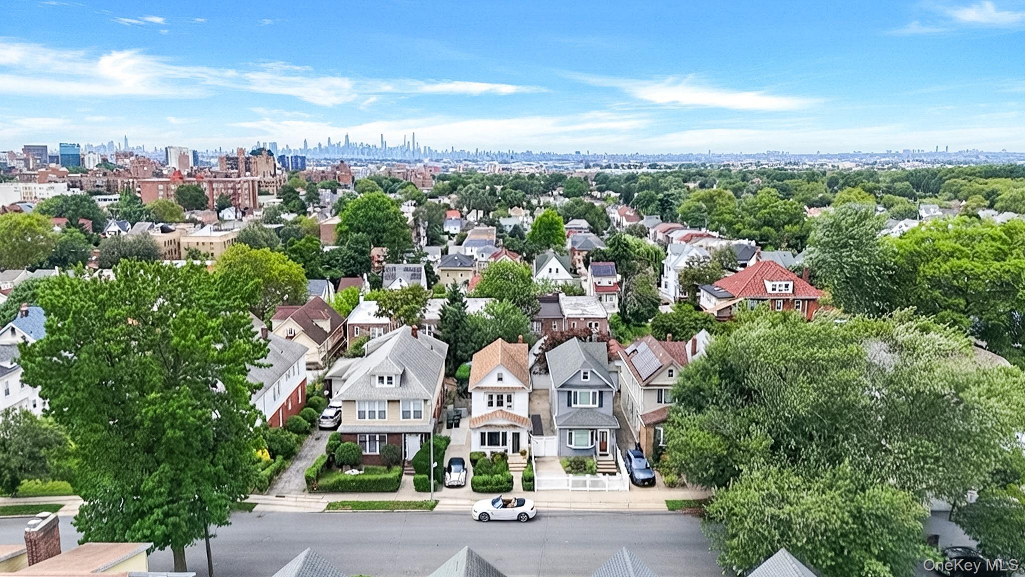 Single Family 155th Street Queens, NY 11354, MLS-1031850-2