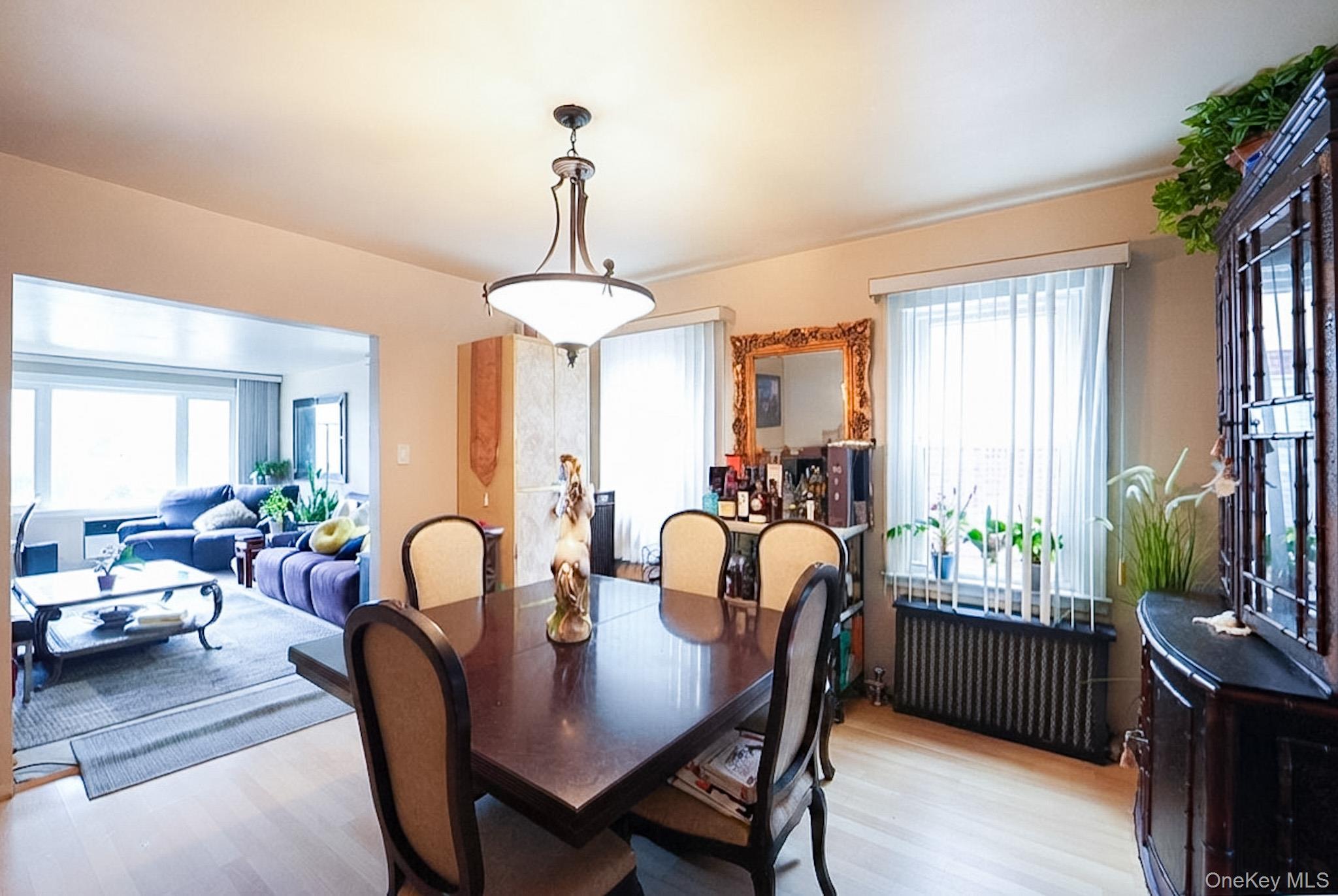 Single Family 155th Street Queens, NY 11354, MLS-1031850-6