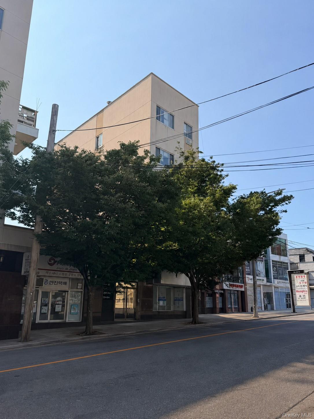 Single Family 150th Place Queens, NY 11354, MLS-1031879-2