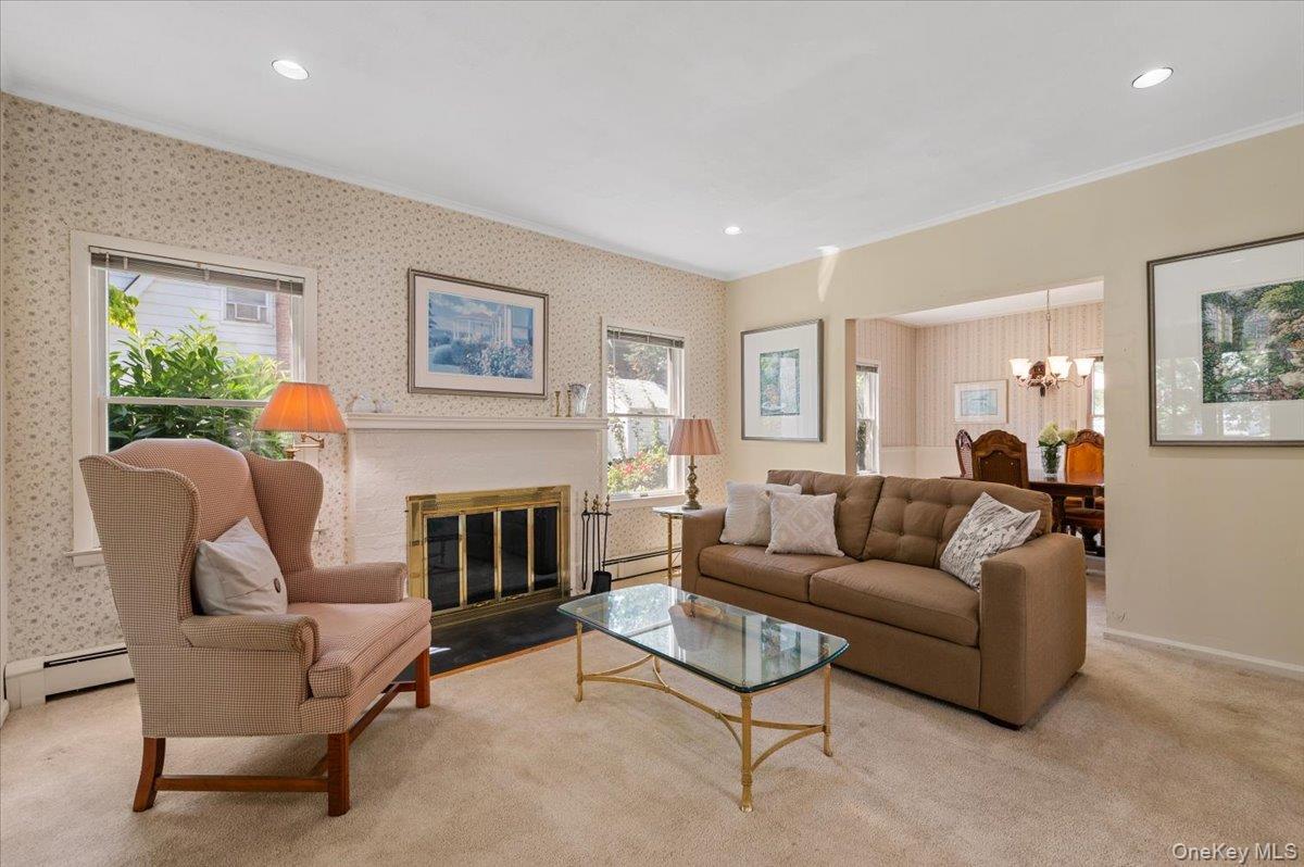 Single Family Cypress Avenue  Nassau County, NY 11050, MLS-1031880-10
