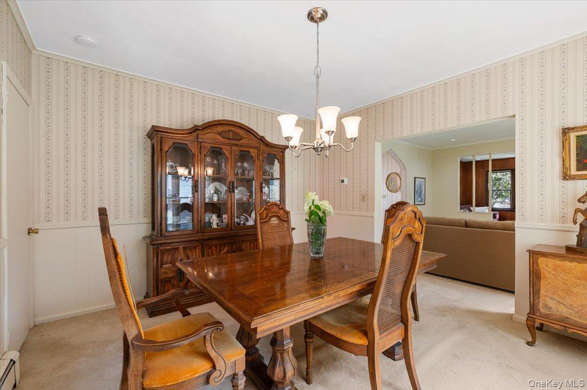 Single Family Cypress Avenue  Nassau County, NY 11050, MLS-1031880-17