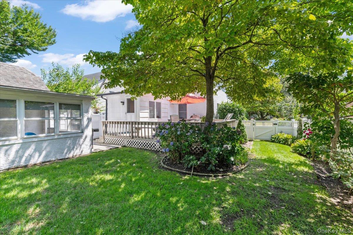 Single Family Cypress Avenue  Nassau County, NY 11050, MLS-1031880-39