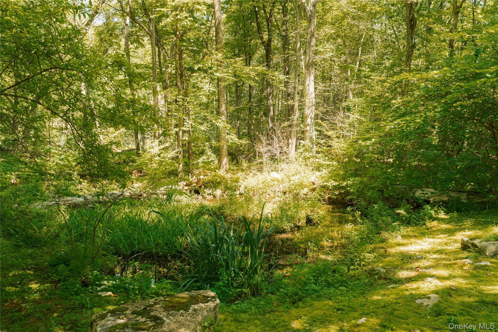 Single Family Rushmore Road Dutchess County, NY 12582, MLS-1031887-15