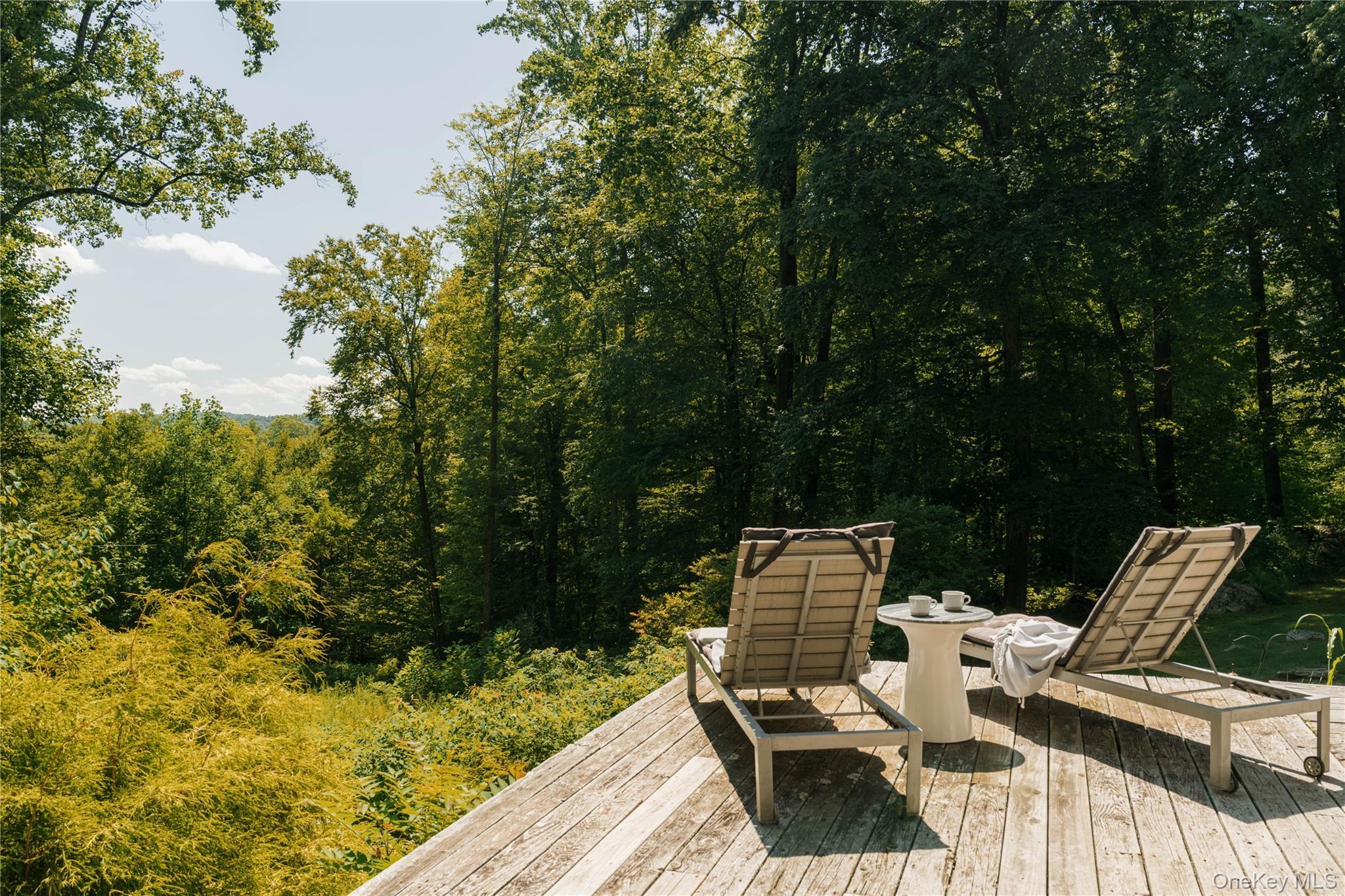 Single Family Rushmore Road Dutchess County, NY 12582, MLS-1031887-35