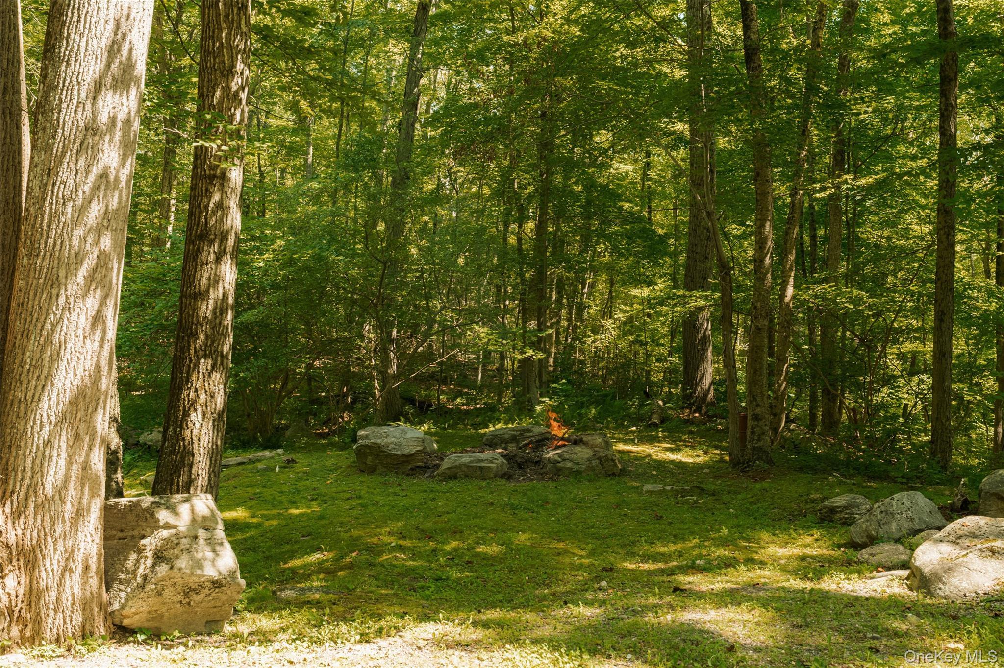 Single Family Rushmore Road Dutchess County, NY 12582, MLS-1031887-42