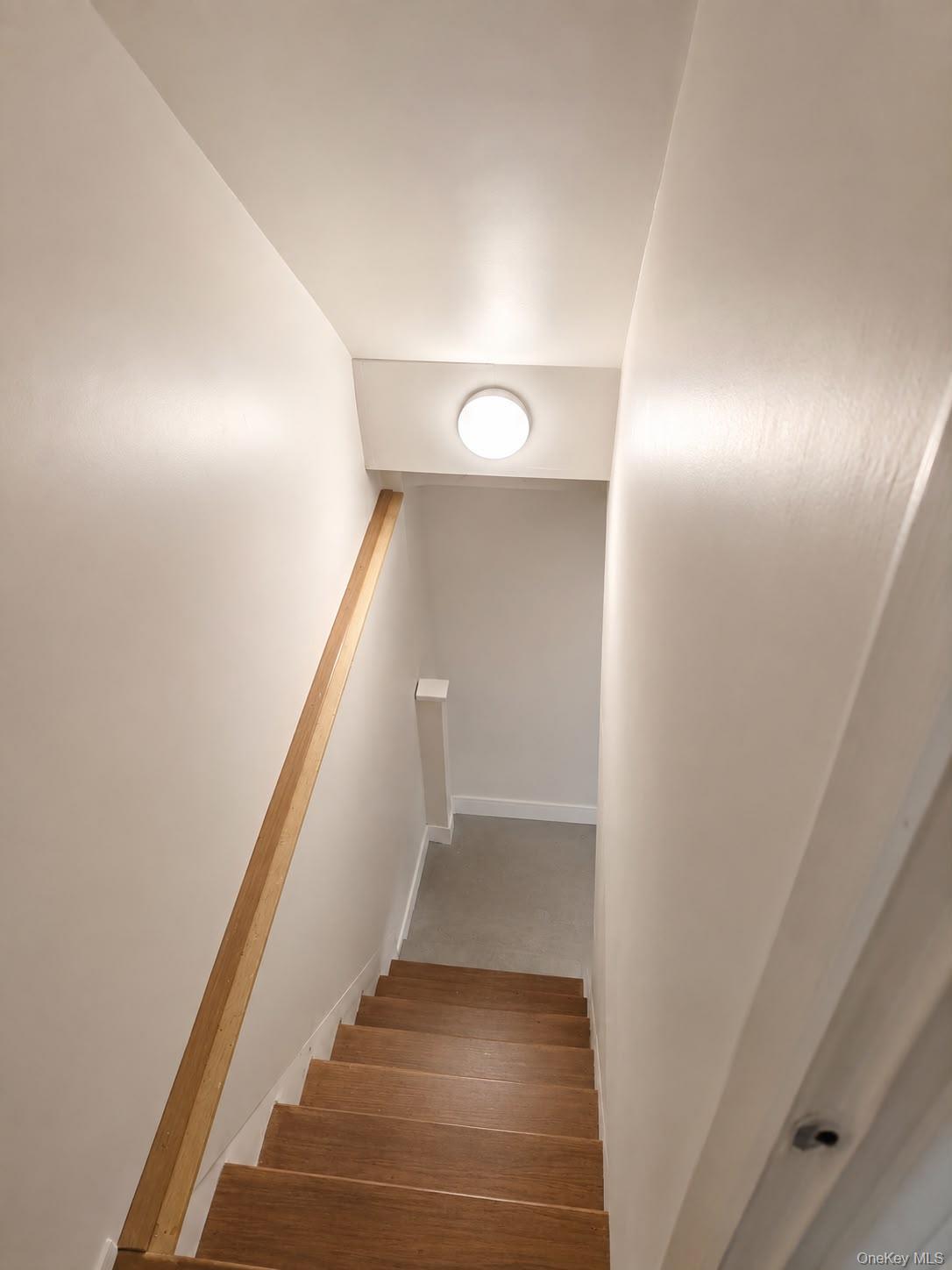 Single Family 41st Brooklyn, NY 11219, MLS-1031912-15