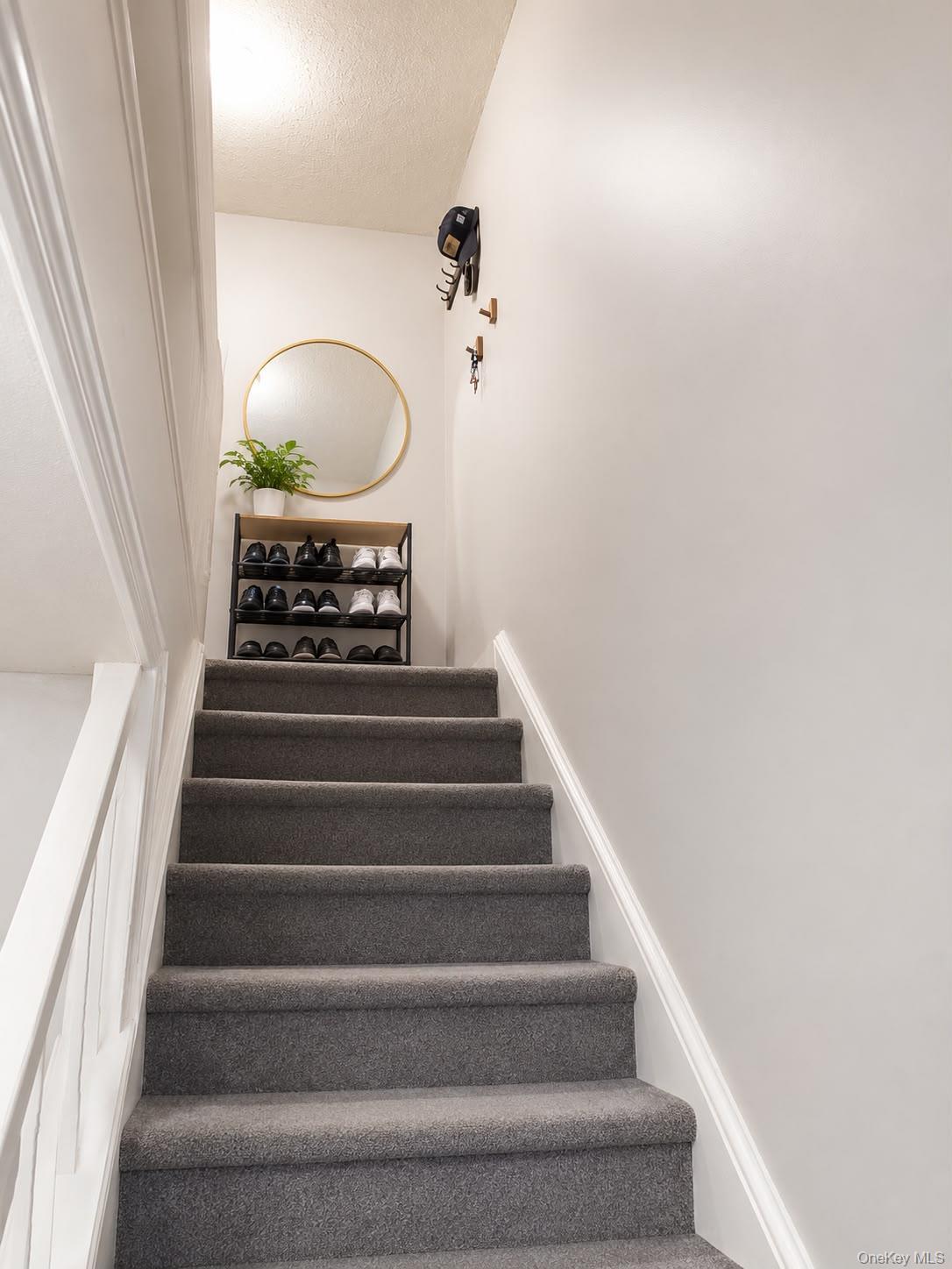 Single Family 41st Brooklyn, NY 11219, MLS-1031912-26