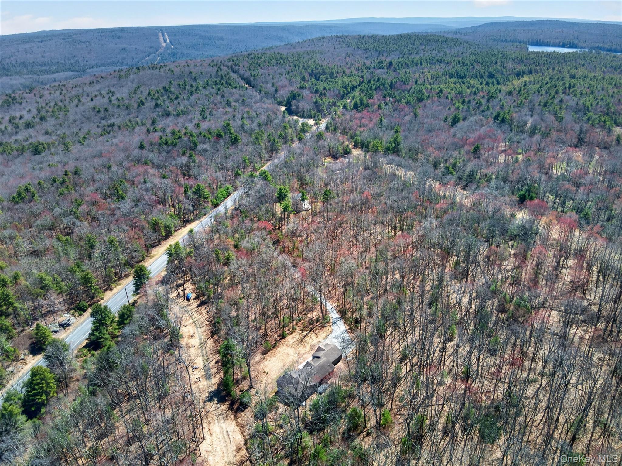 Single Family Forestburgh Road Sullivan County, NY 12737, MLS-1031919-14