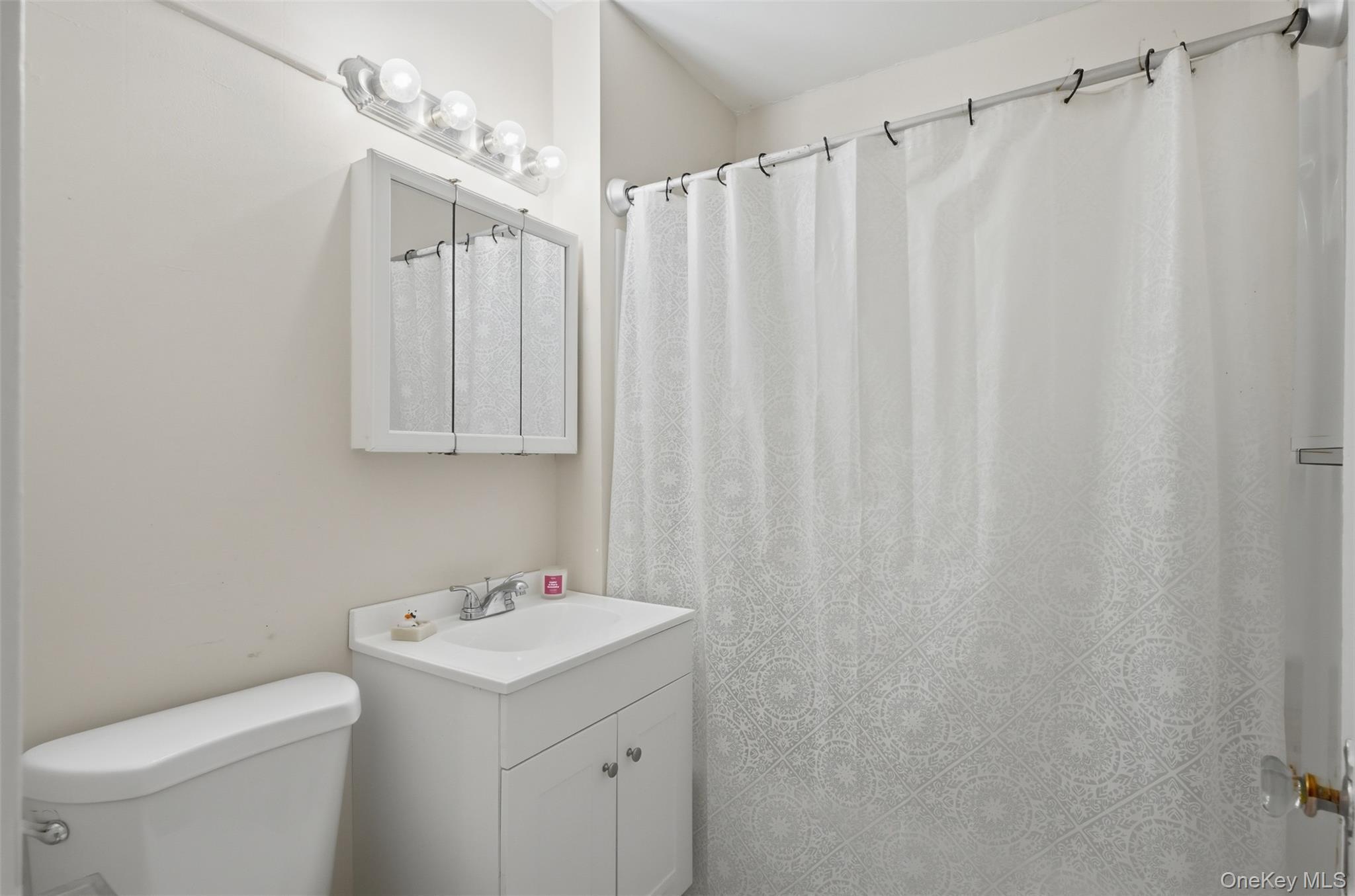Single Family Mohin Park Orange County, NY 10958, MLS-1031928-19