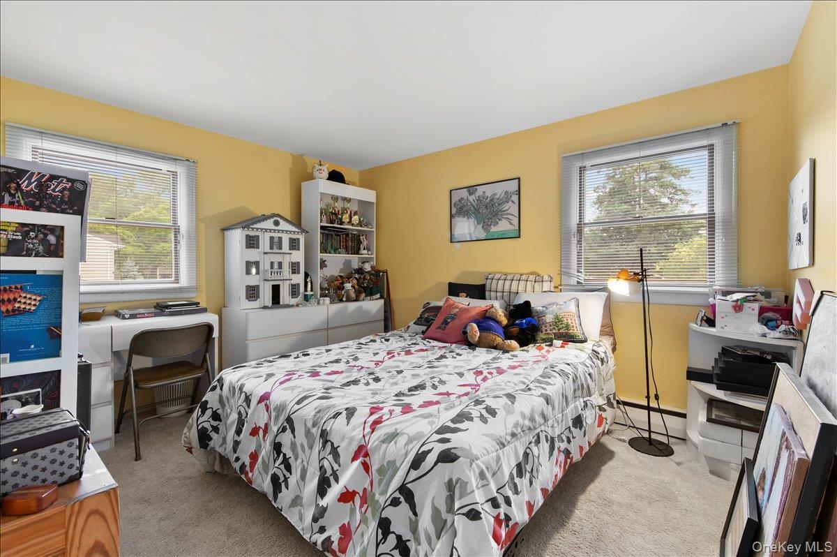 Single Family Donald Drive  Nassau County, NY 11804, MLS-1031953-20