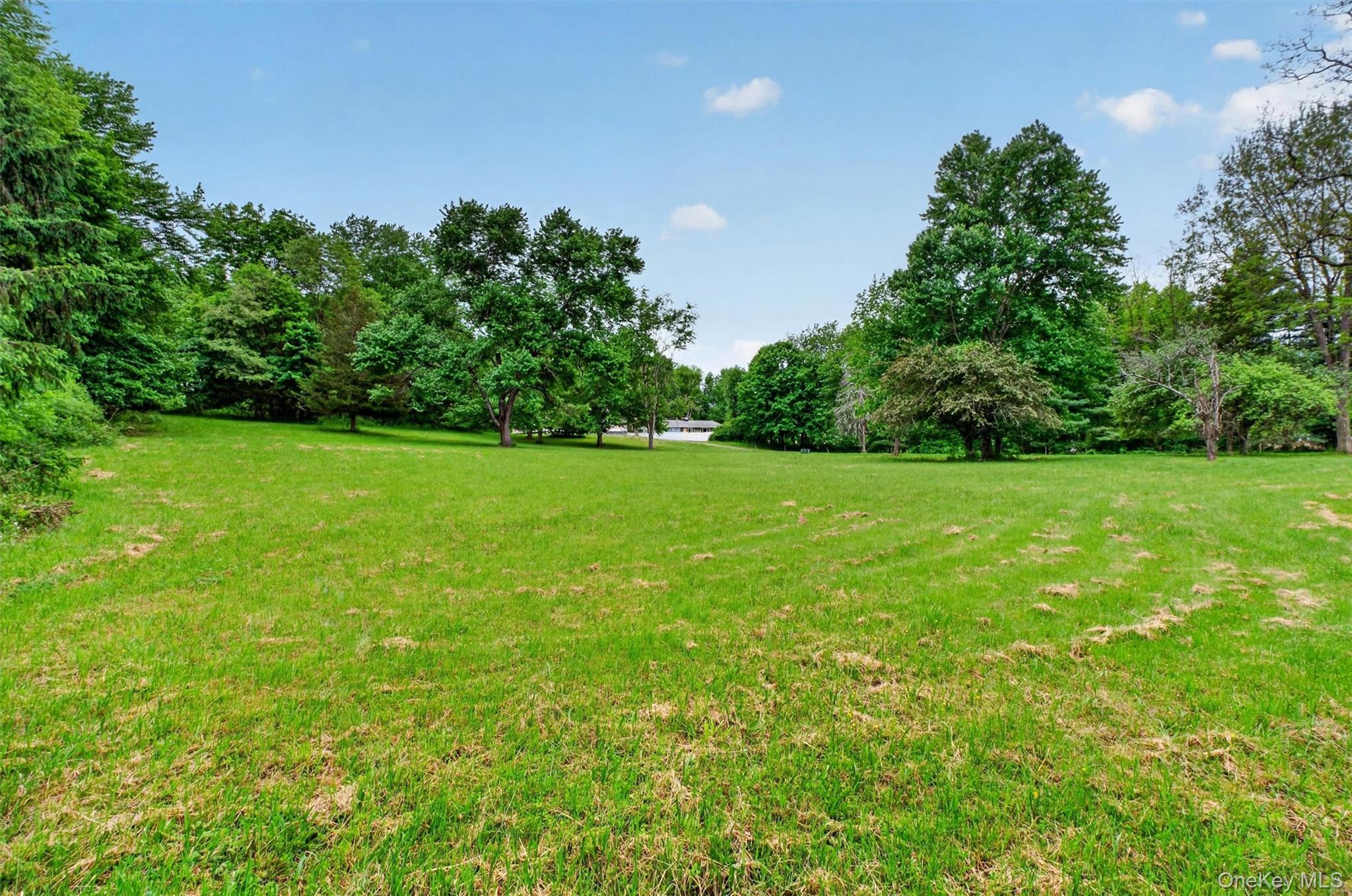 Single Family N Cross Road  Dutchess County, NY 12540, MLS-1032011-46
