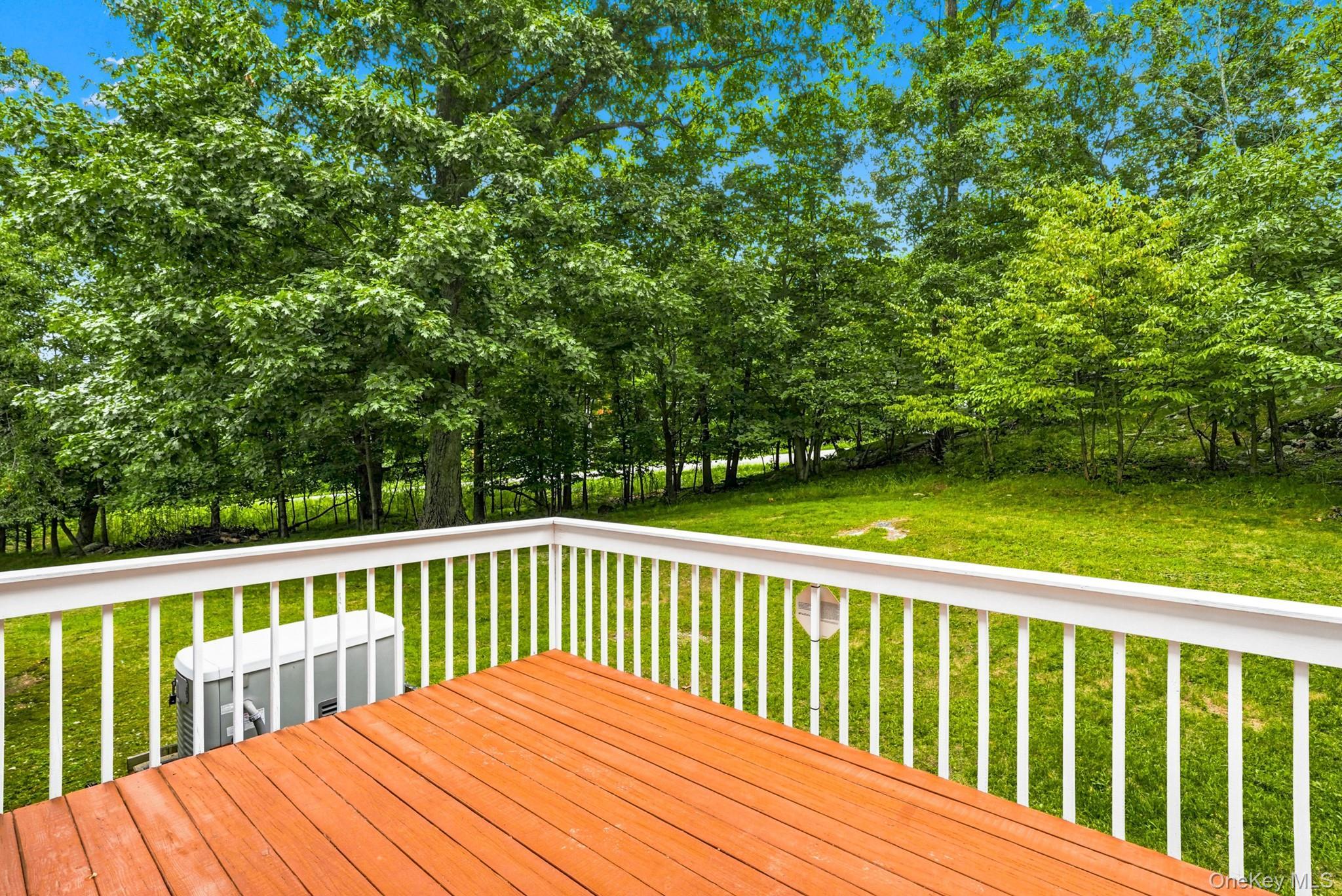 Single Family Terry Road Orange County, NY 10950, MLS-1032028-35