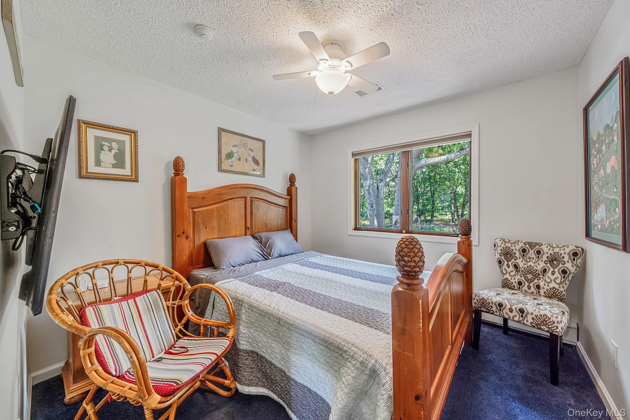 Single Family Robinson Avenue Suffolk County, NY 11772, MLS-1032055-34