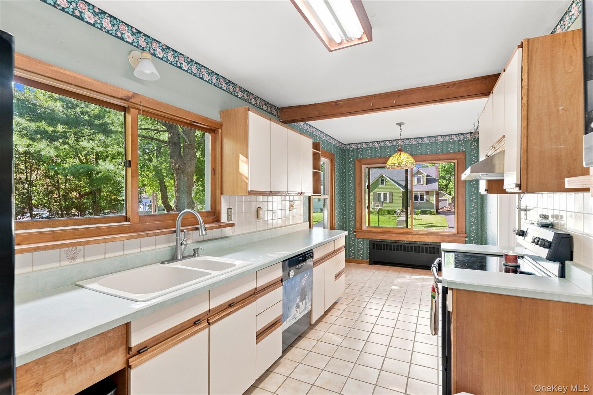 Single Family Elm Street Ulster County, NY 12428, MLS-1032075-17
