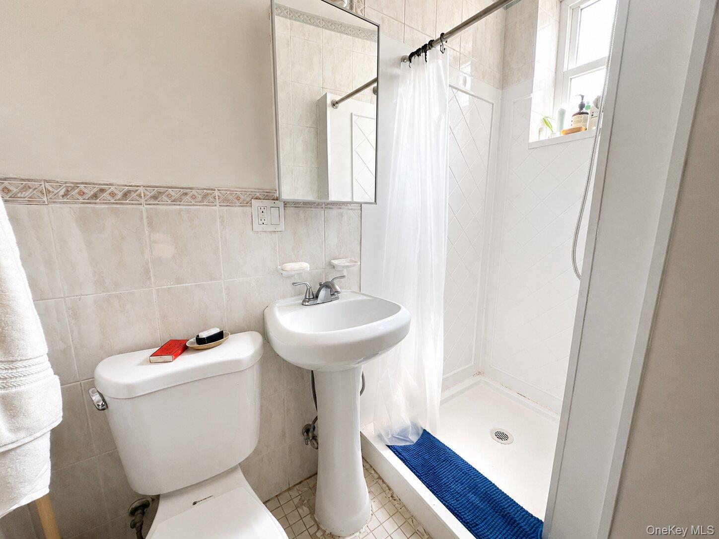 Single Family 32nd Street Brooklyn, NY 11232, MLS-1032126-5