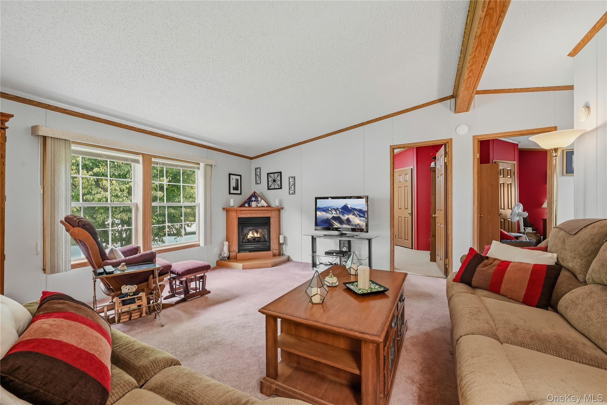 Single Family Pine Drive Sullivan County, NY 12721, MLS-1032195-4