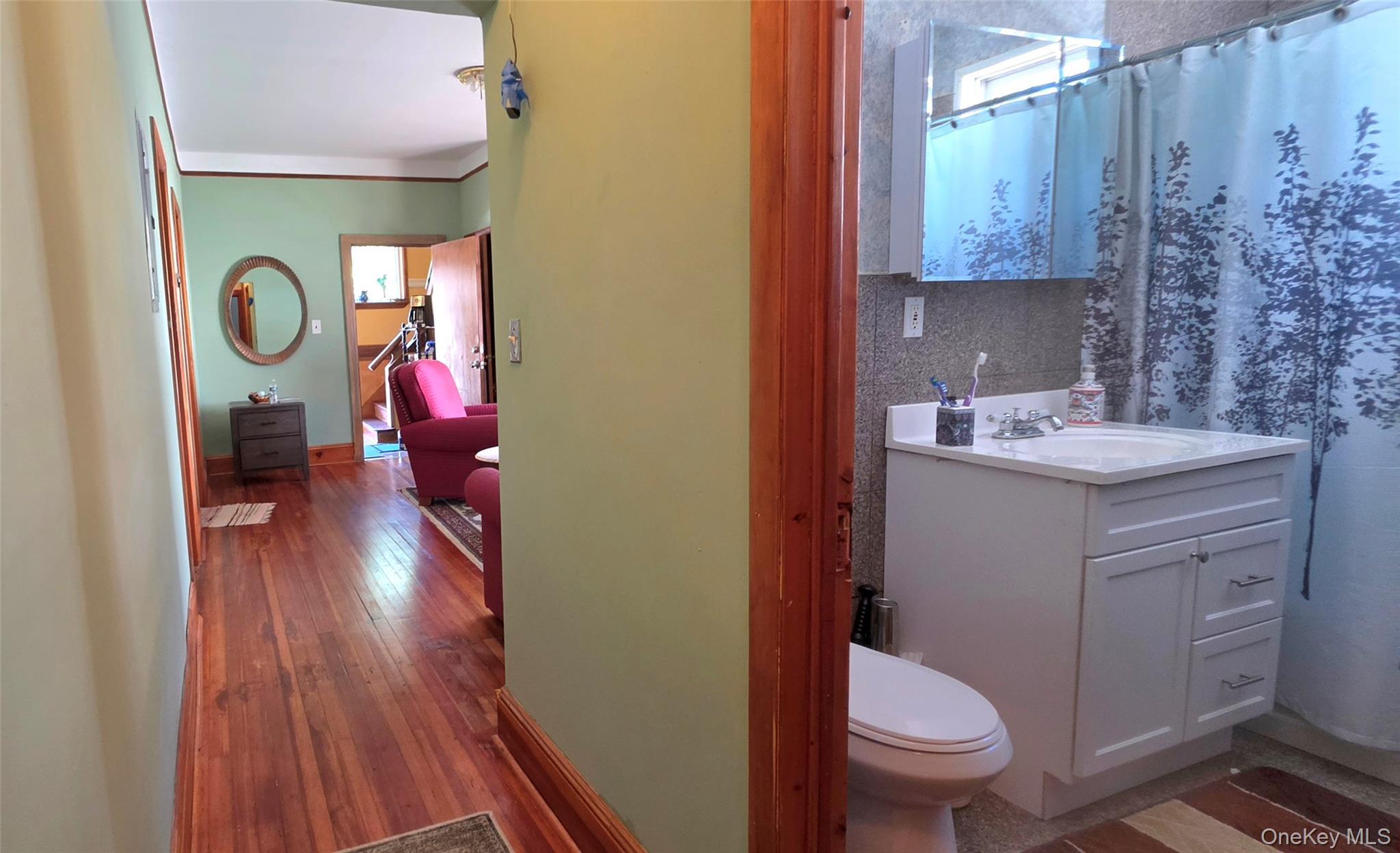 Single Family Cottage Street  Sullivan County, NY 12701, MLS-1032198-21
