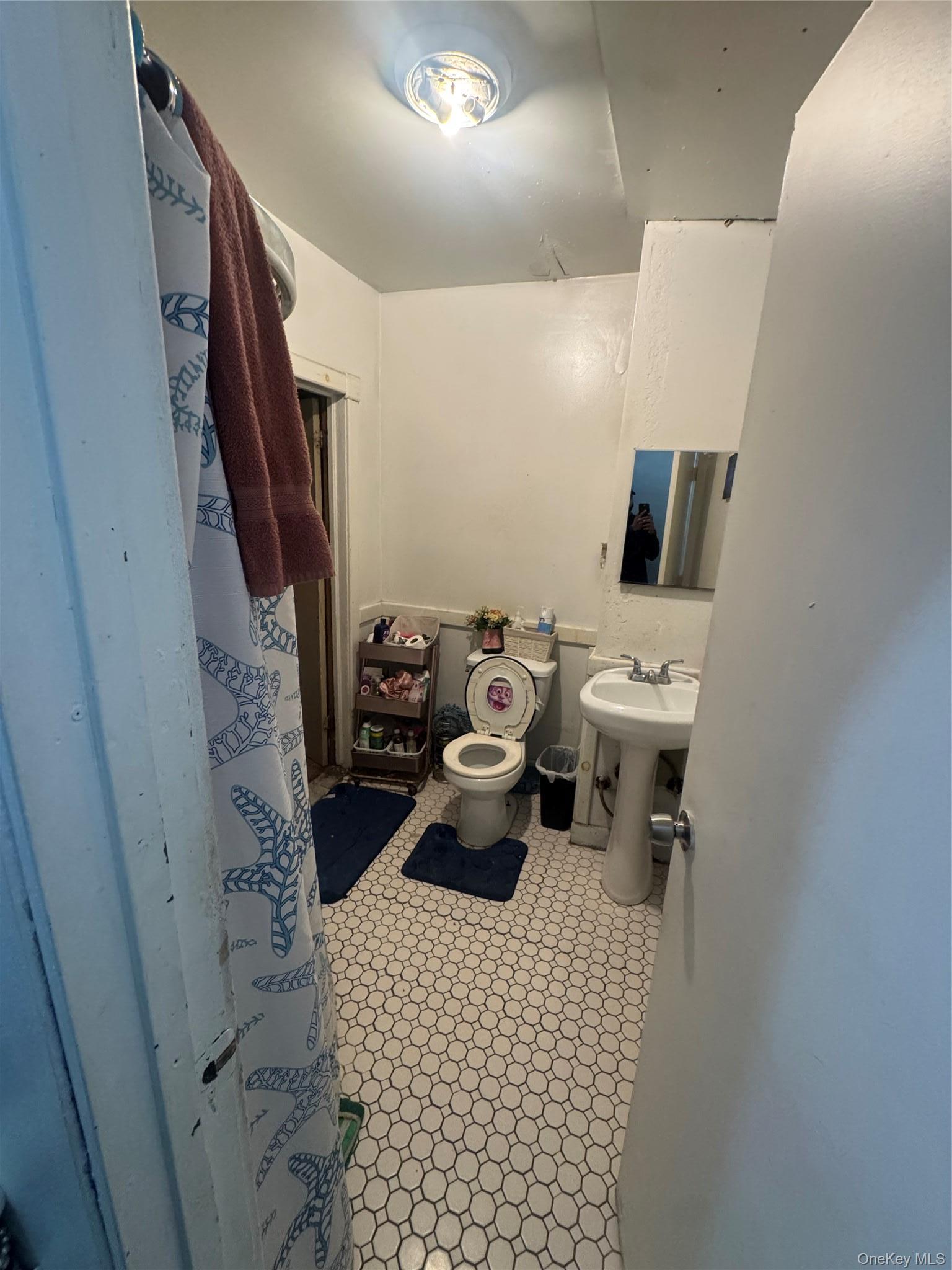 Single Family Decatur Street  Brooklyn, NY 11207, MLS-1032199-11