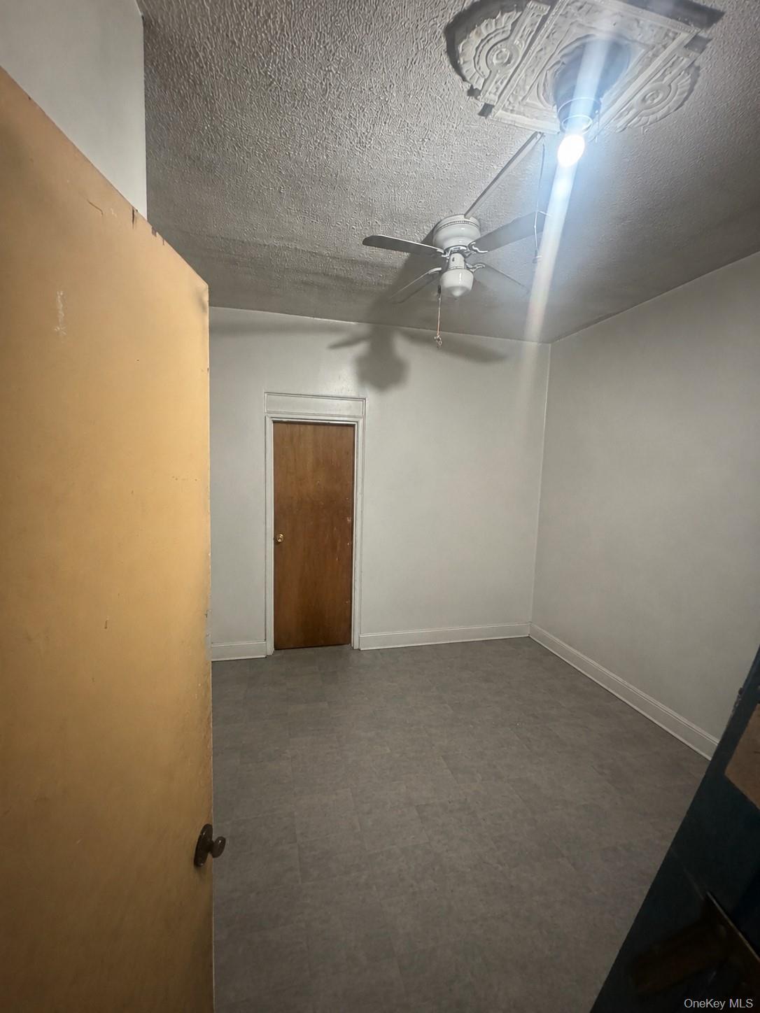 Single Family Decatur Street  Brooklyn, NY 11207, MLS-1032199-12