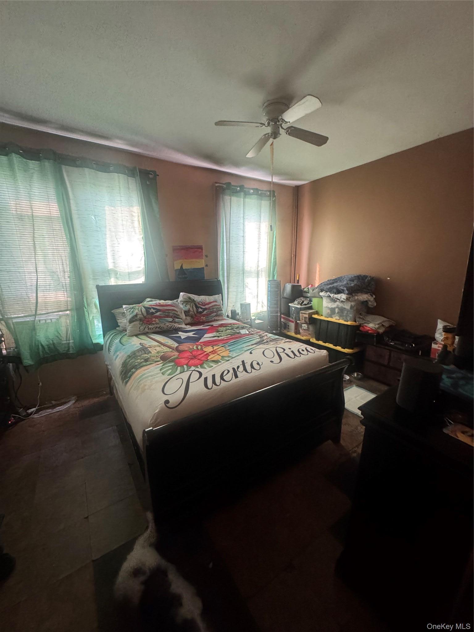Single Family Decatur Street  Brooklyn, NY 11207, MLS-1032199-7