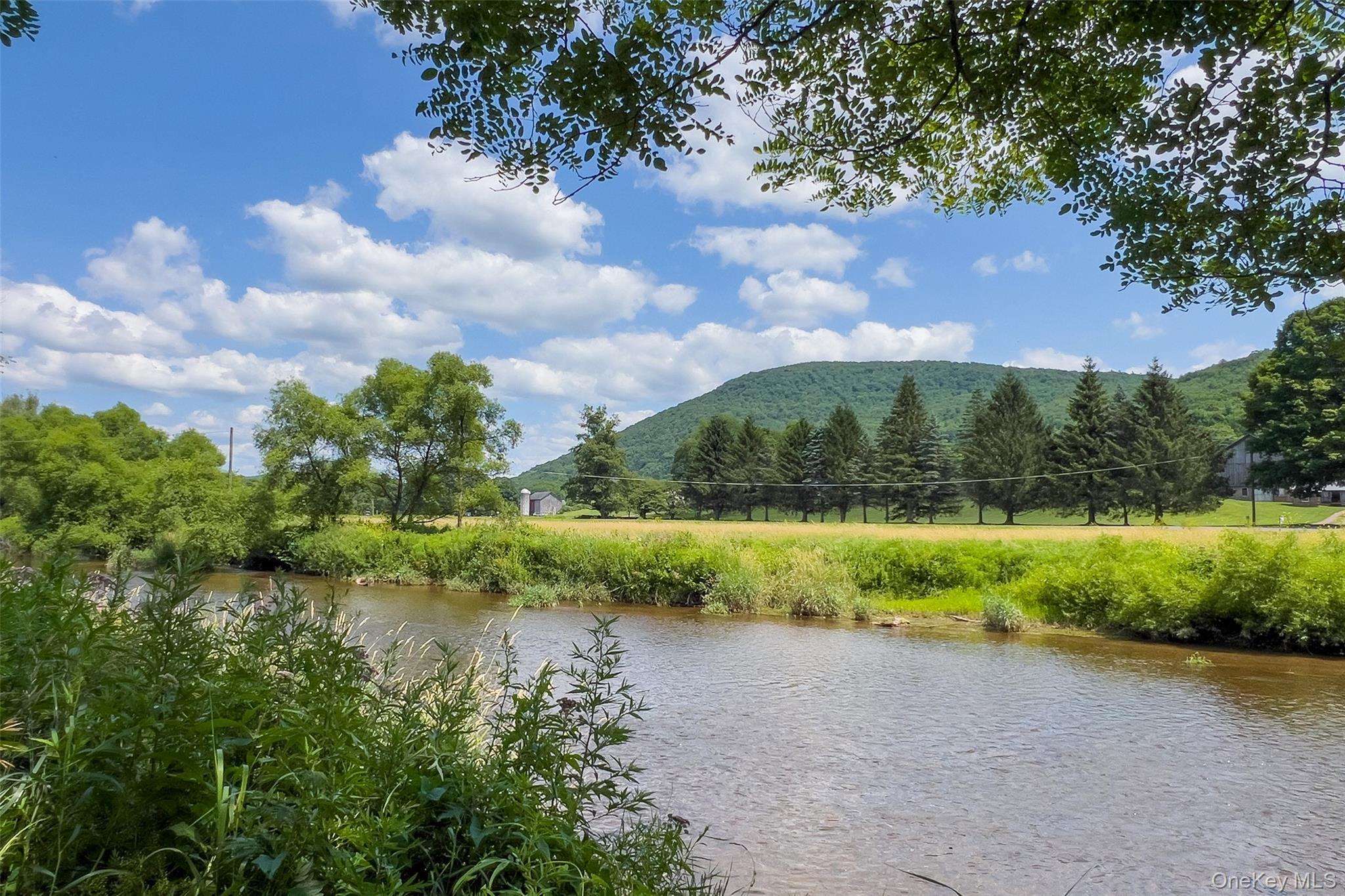 Single Family State Highway 10 Delaware County, NY 13753, MLS-1032201-44