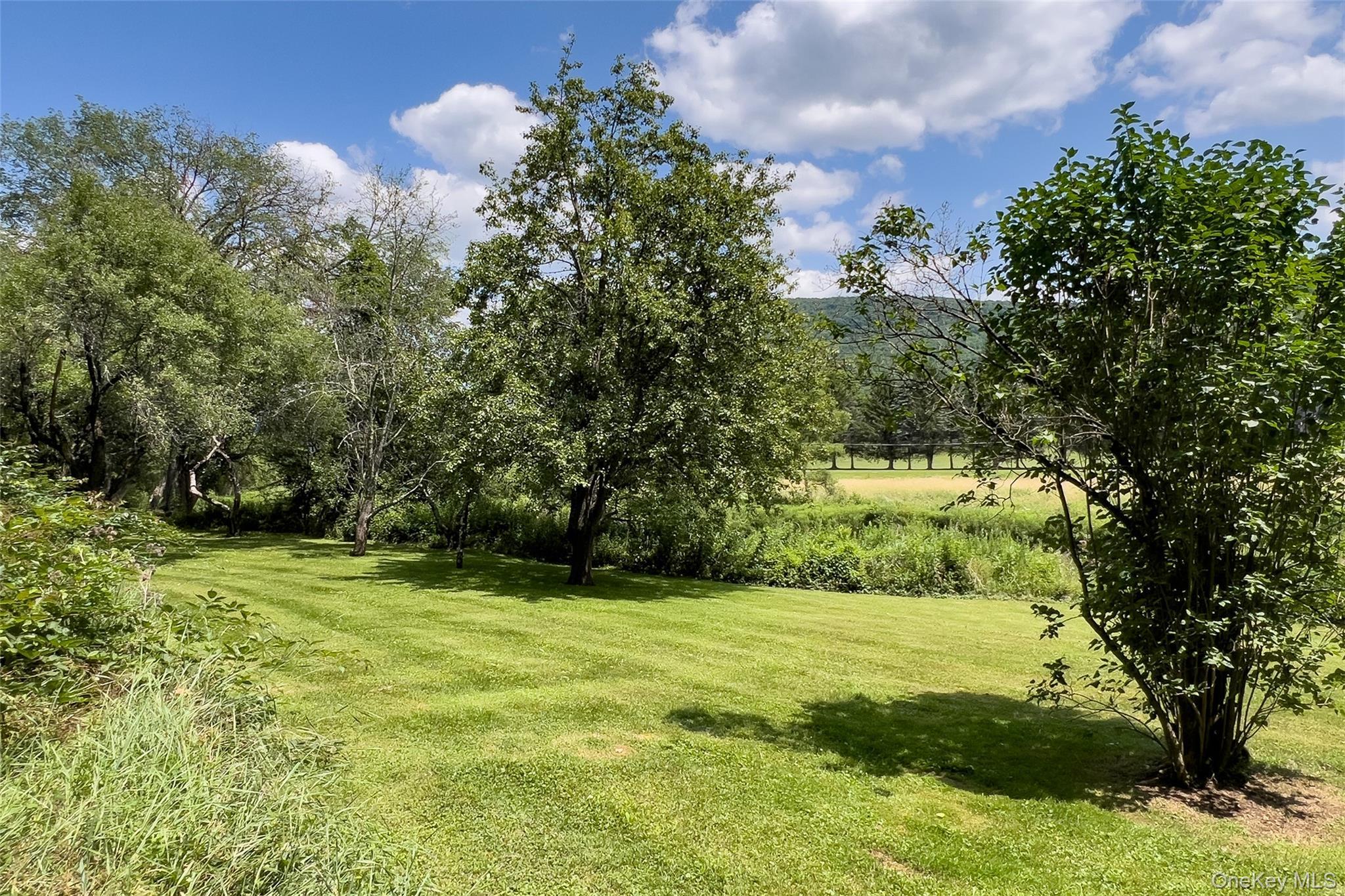 Single Family State Highway 10 Delaware County, NY 13753, MLS-1032201-47
