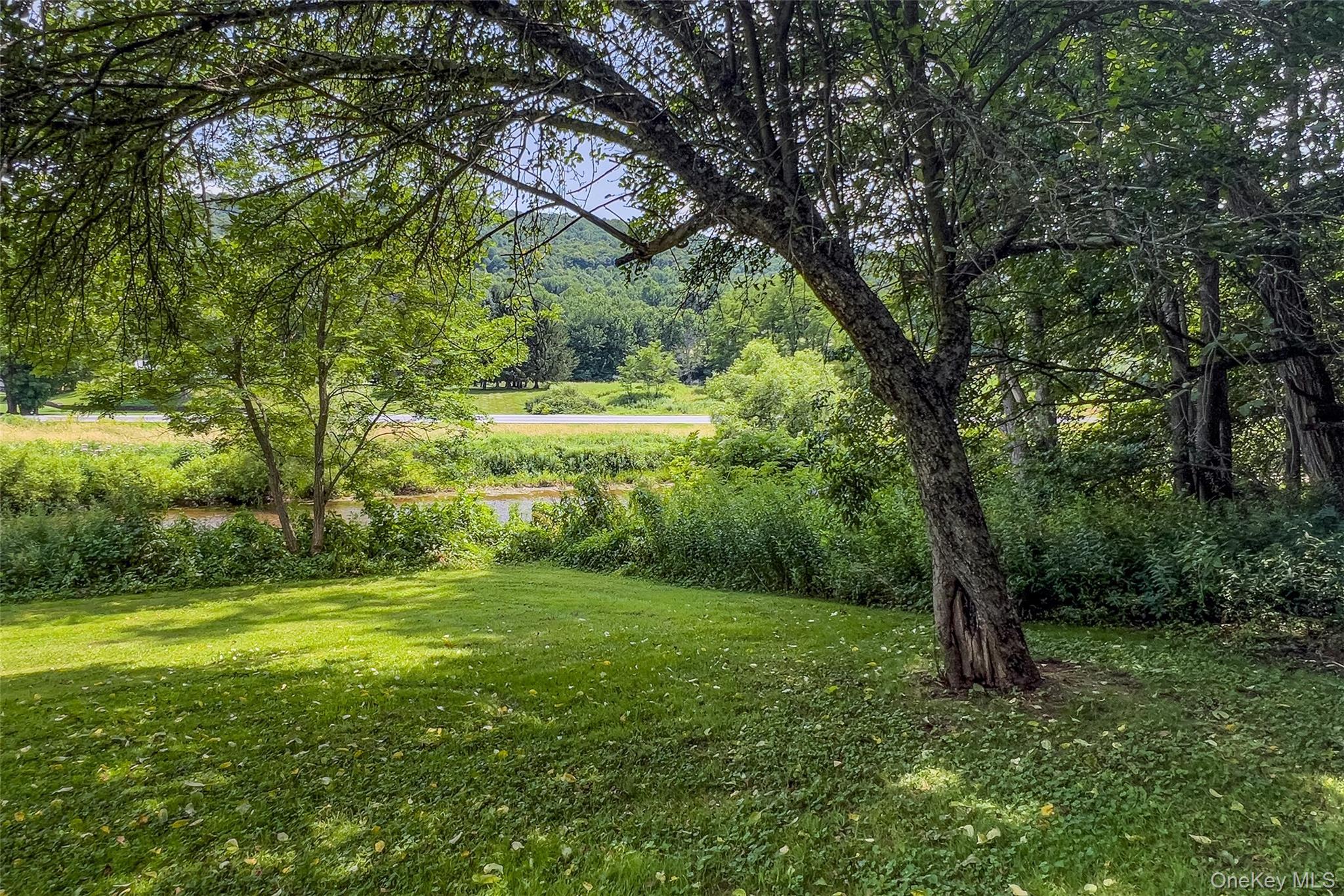 Single Family State Highway 10 Delaware County, NY 13753, MLS-1032201-48