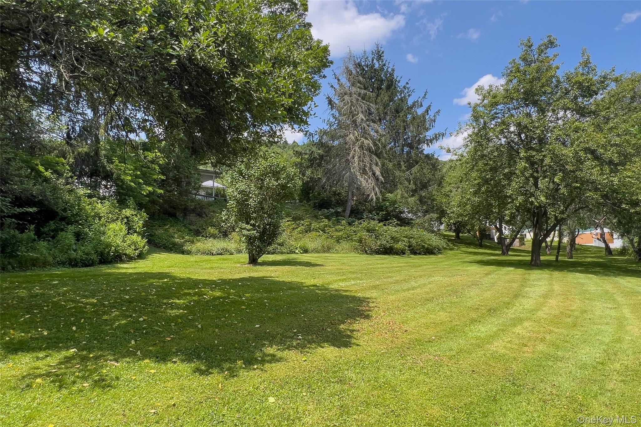 Single Family State Highway 10 Delaware County, NY 13753, MLS-1032201-49