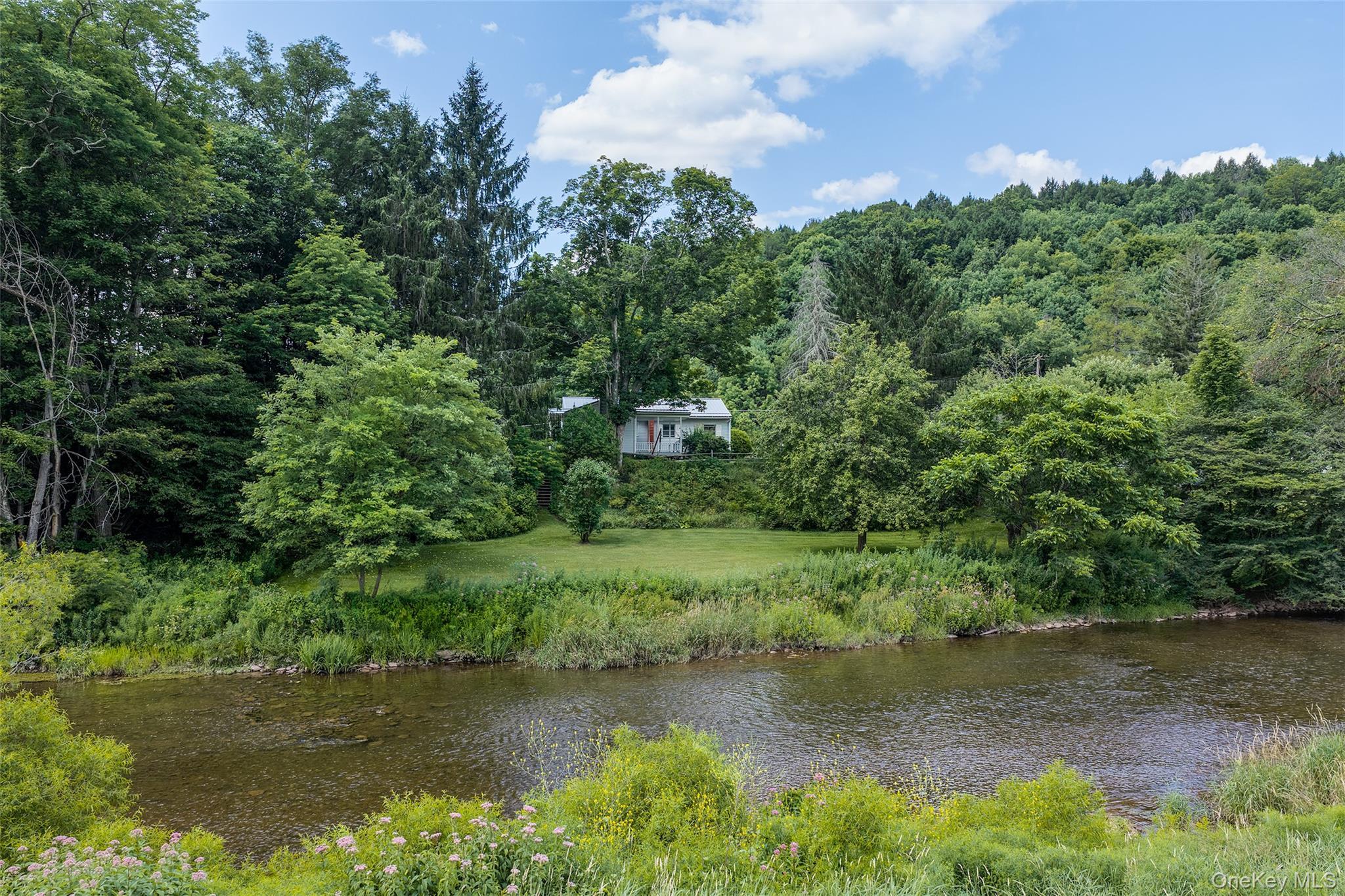 Single Family State Highway 10 Delaware County, NY 13753, MLS-1032201-6