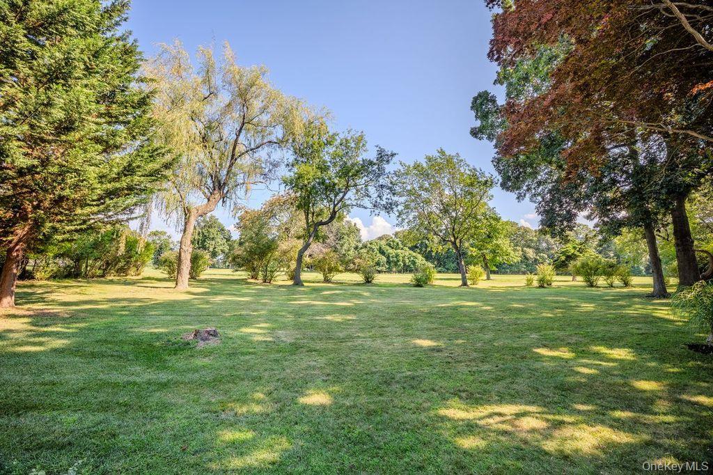 Single Family Fairway Drive  Suffolk County, NY 11777, MLS-1032233-27
