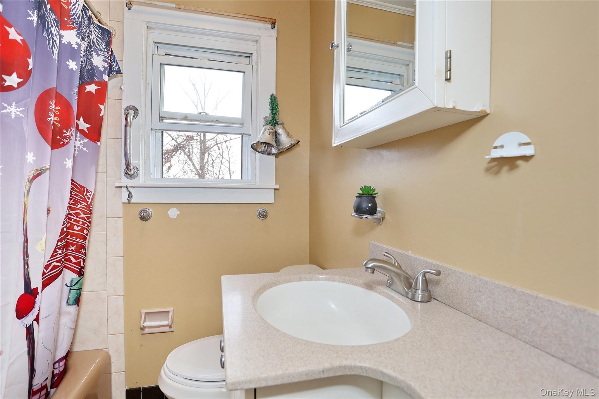Single Family Lindbergh Lane  Rockland County, NY 10956, MLS-1032259-15