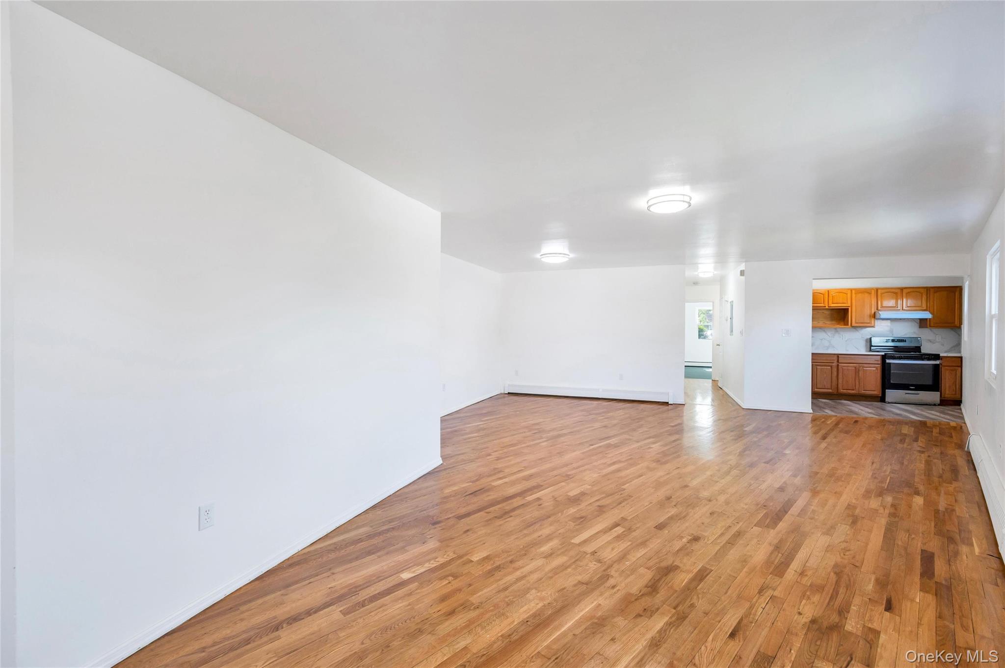 Single Family Charles Lane Queens, NY 11413, MLS-1032283-22