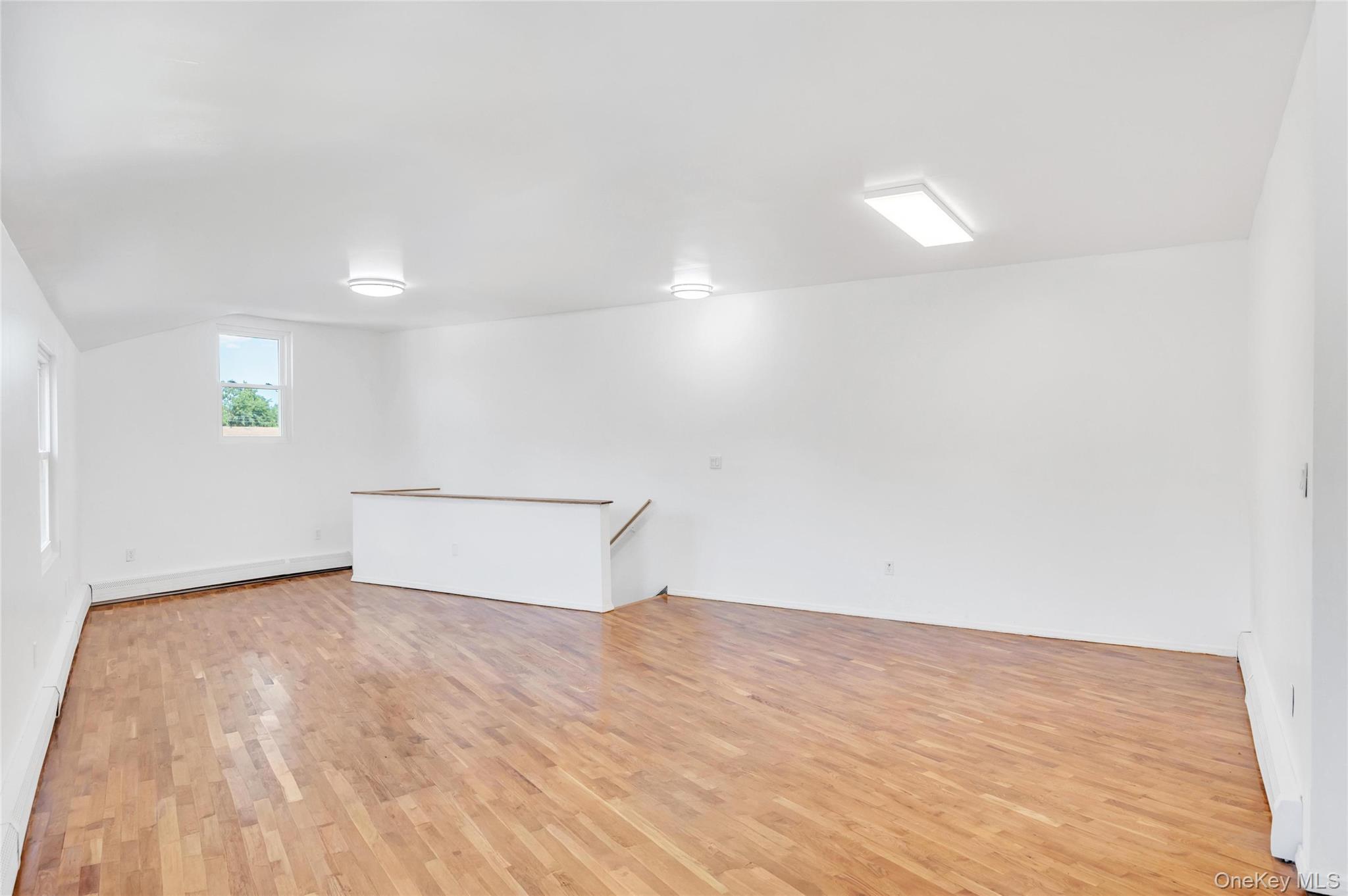 Single Family Charles Lane Queens, NY 11413, MLS-1032283-8