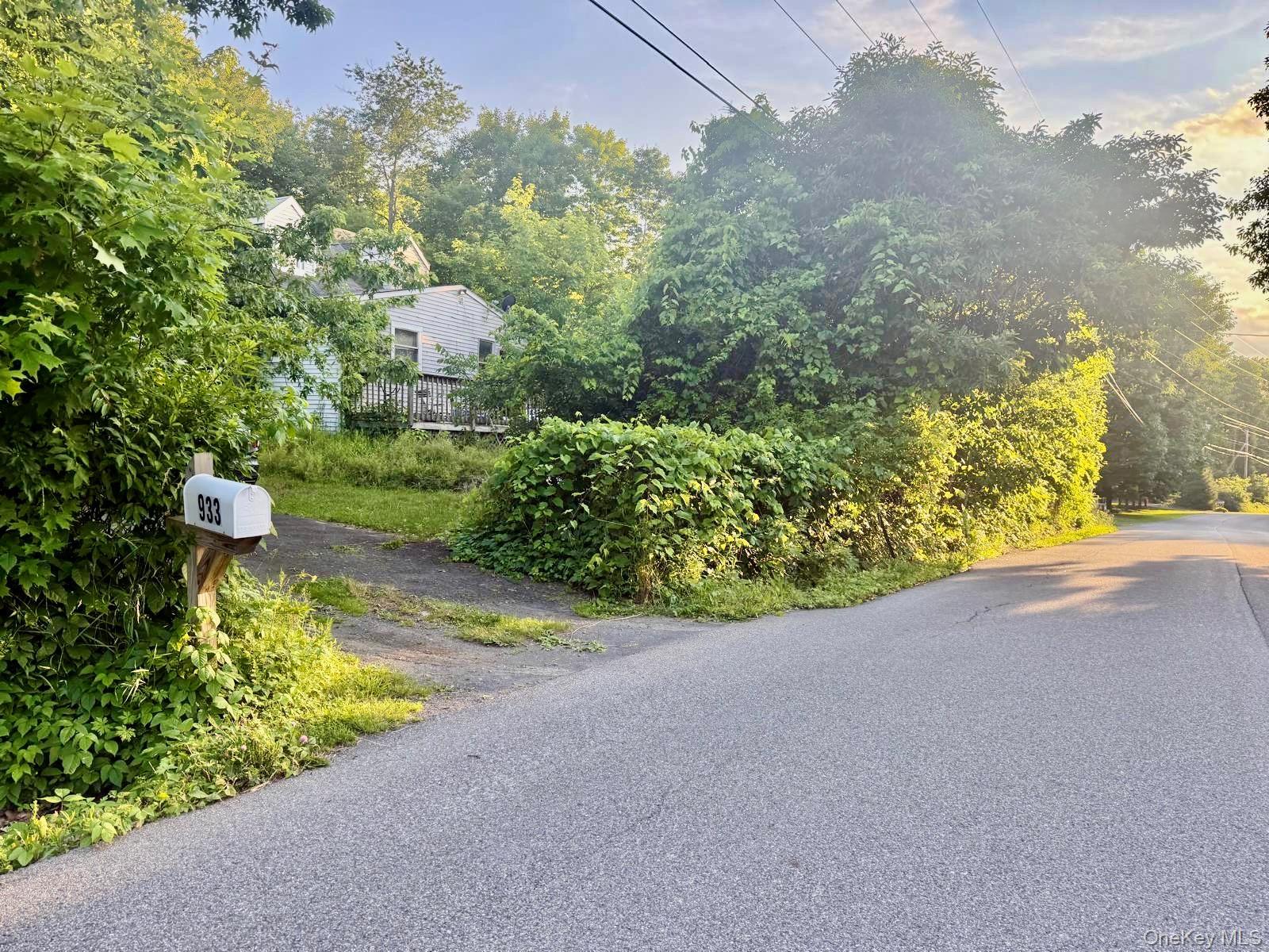Single Family South Street Ulster County, NY 12528, MLS-1032331-2