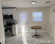 Single Family Laurel Avenue Sullivan County, NY 12733, MLS-1032347-3