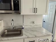 Single Family Laurel Avenue Sullivan County, NY 12733, MLS-1032347-8