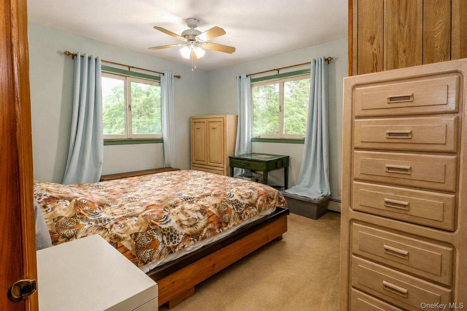 Single Family Fort Van Tyle Road  Orange County, NY 12771, MLS-1032400-26
