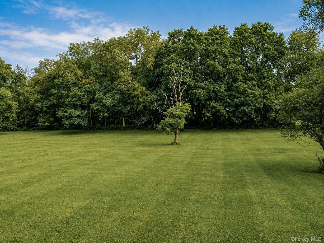Single Family Fort Van Tyle Road  Orange County, NY 12771, MLS-1032400-45